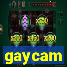 gaycam