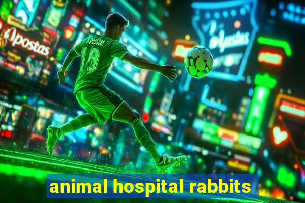 animal hospital rabbits