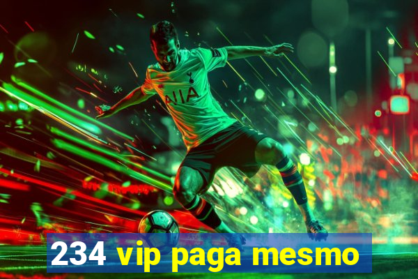 234 vip paga mesmo