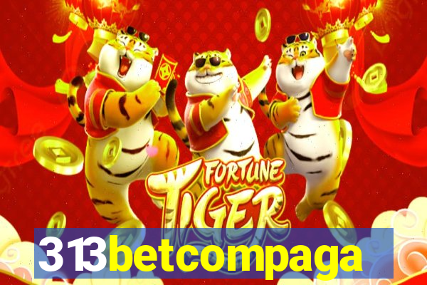 313betcompaga