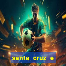 santa cruz e cruzeiro ao vivo hd