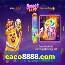 caco8888.com